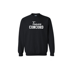 *TEAM CONCORD DESIGN* Heavy Blend™ Crewneck Sweatshirt