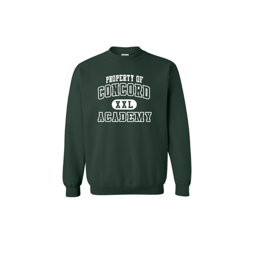 *PROPERTY OF CONCORD DESIGN* Heavy Blend™ Crewneck Sweatshirt