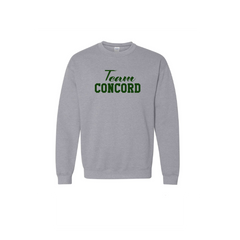 *TEAM CONCORD DESIGN* Heavy Blend™ Crewneck Sweatshirt