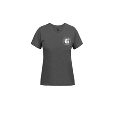 Shirt: Tri-Blend Women's V-Neck Tee