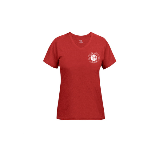 Shirt: Tri-Blend Women's V-Neck Tee