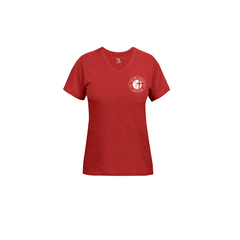 Shirt: Tri-Blend Women's V-Neck Tee