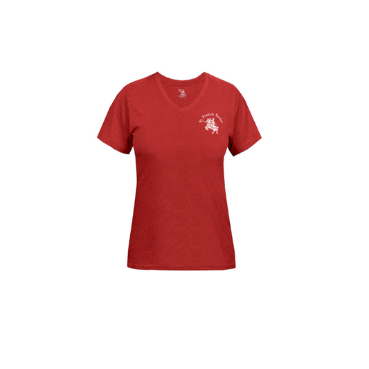 Shirt: Tri-Blend Women's V-Neck Tee