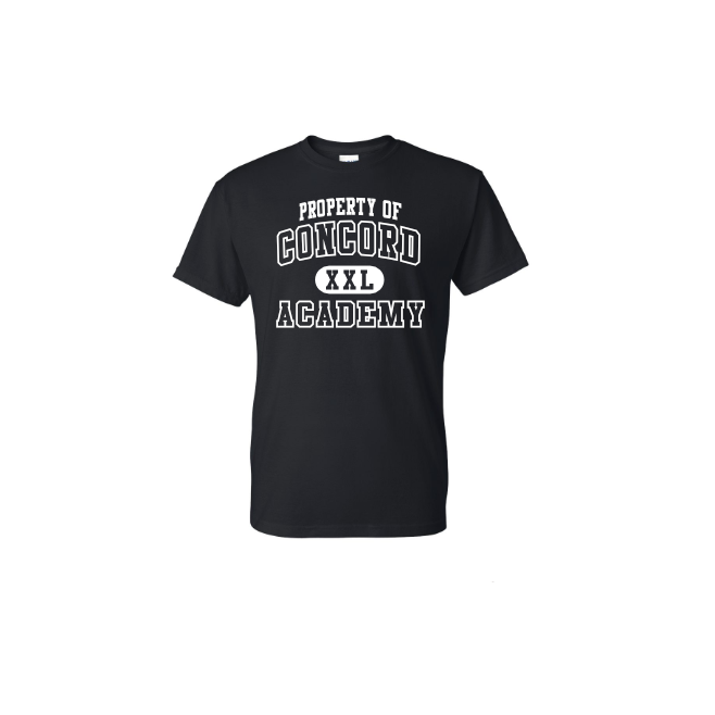 *PROPERTY OF CONCORD DESIGN* DryBlend® T-Shirt