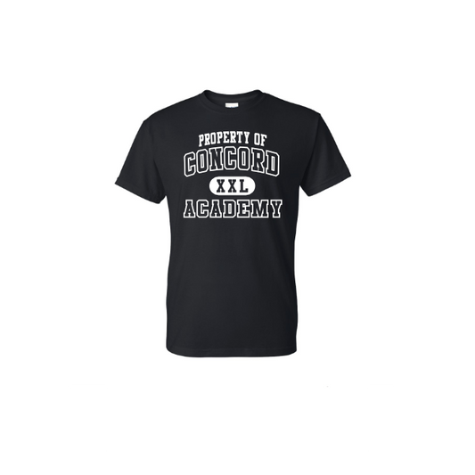 *PROPERTY OF CONCORD DESIGN* DryBlend® T-Shirt