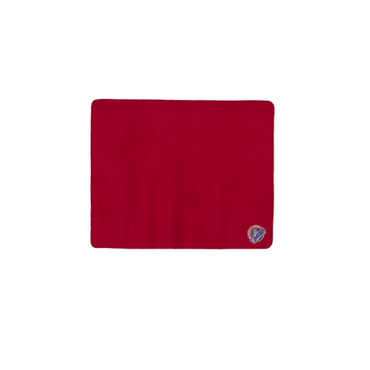 Polyester/Nylon Picnic Blanket