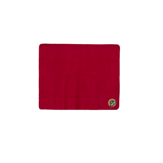 Polyester/Nylon Picnic Blanket