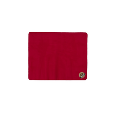 Polyester/Nylon Picnic Blanket