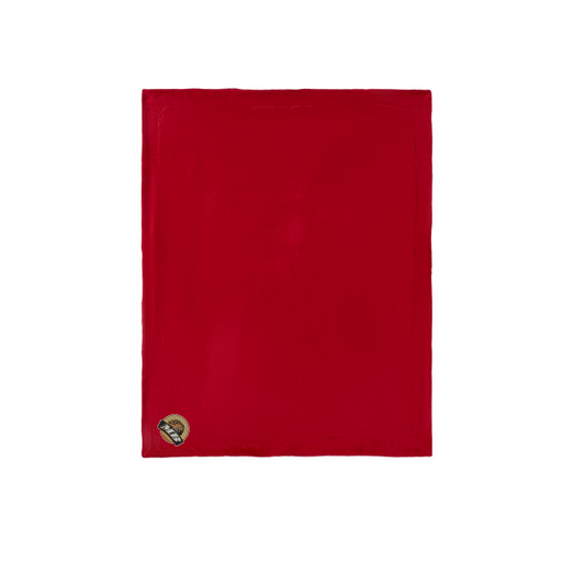 Micro Mink Sherpa Blanket