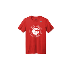 Nike Team rLegend Tee