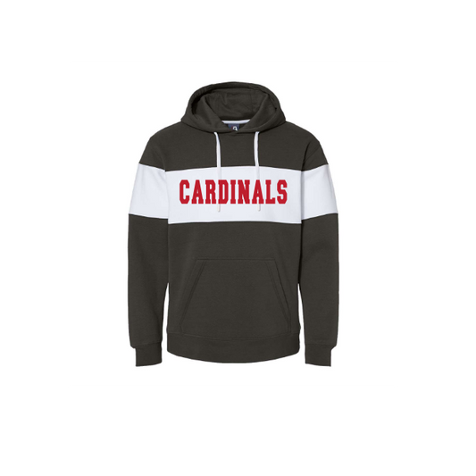 Varsity Fleece Colorblocked Hooded Sweatshirt