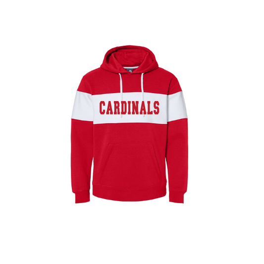 Varsity Fleece Colorblocked Hooded Sweatshirt